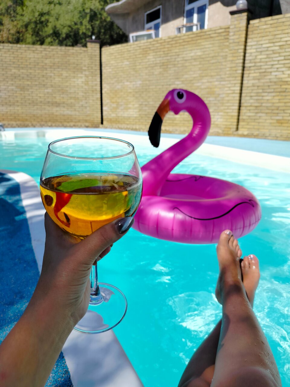 Гостиница Серсиаль Алупка-247