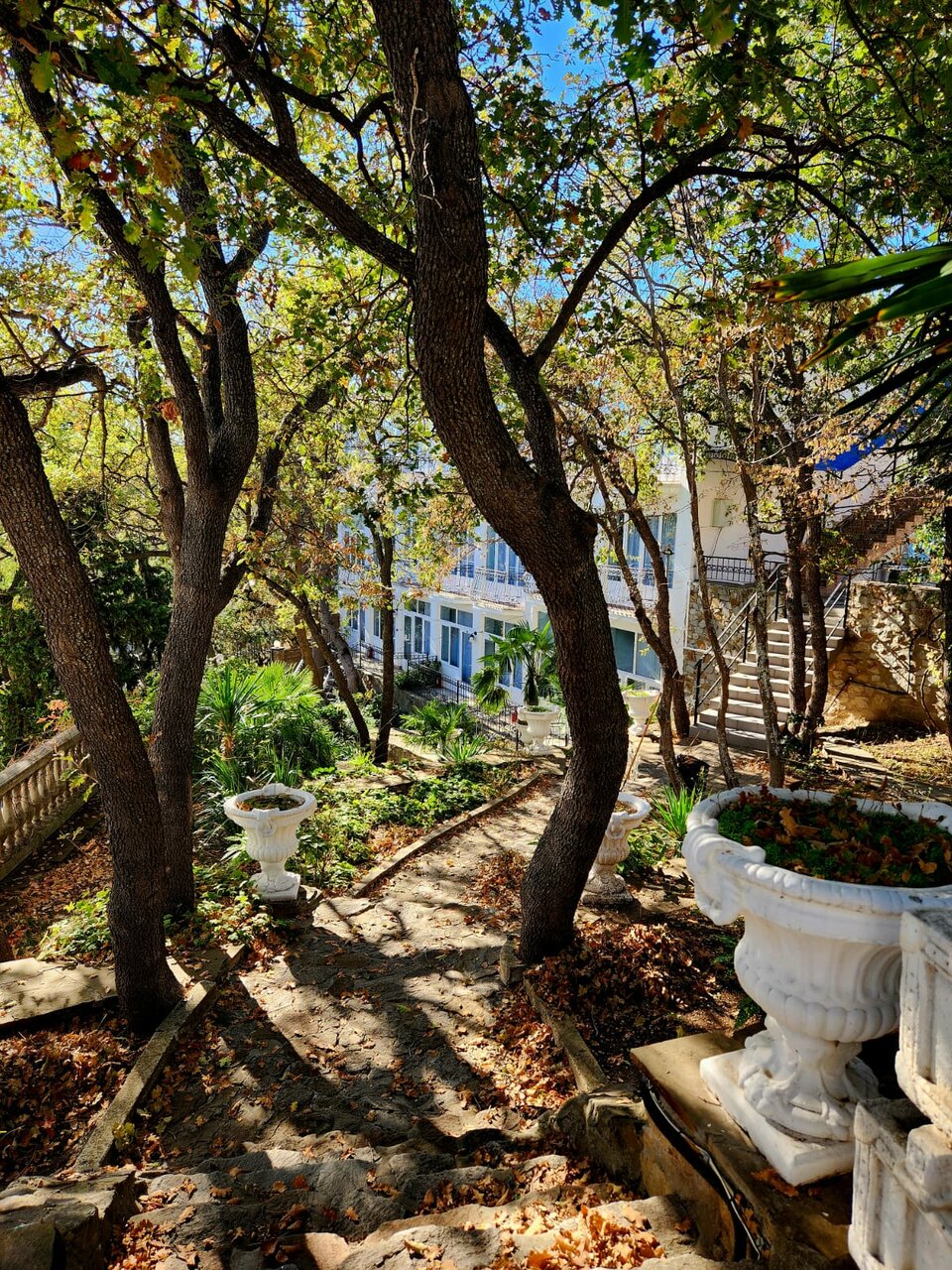 Гостиница Серсиаль Алупка-249