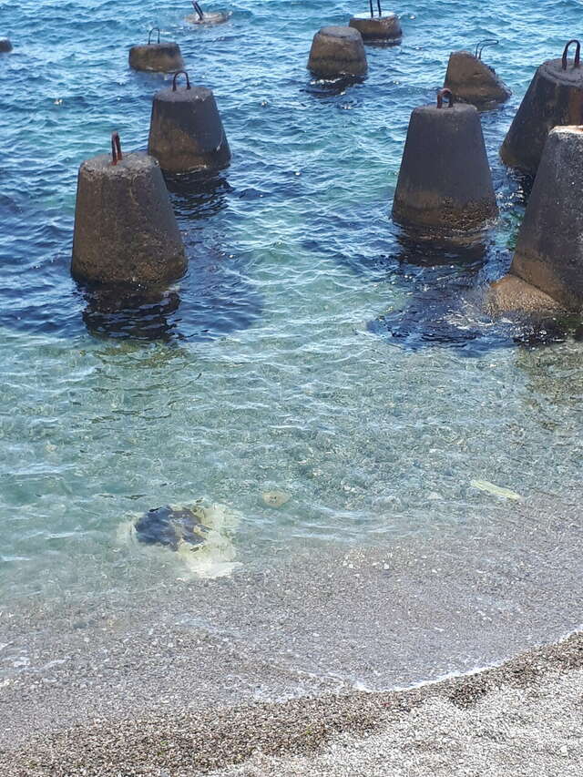 Гостиница Серсиаль Алупка-239