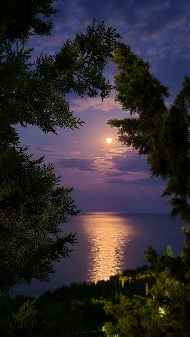 Гостиница Серсиаль Алупка-240